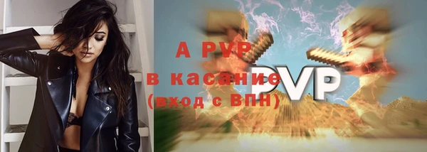 ПСИЛОЦИБИНОВЫЕ ГРИБЫ Бородино