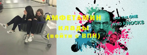 ПСИЛОЦИБИНОВЫЕ ГРИБЫ Бородино